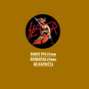 SLAYER BADGE PIN - SLAYER BADGE PIN 01