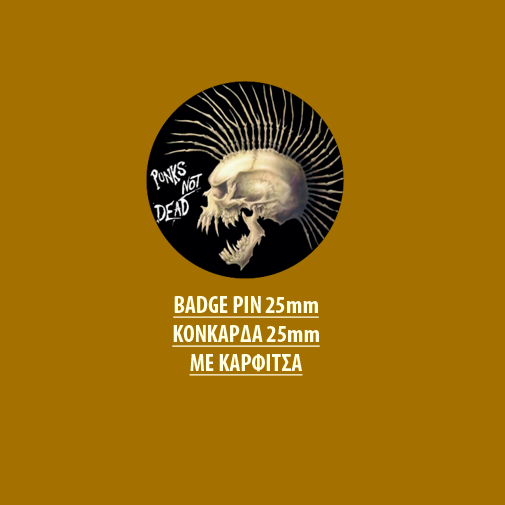 THE EXPLOITED BADGE PIN - THE EXPLOITED BADGE PIN 01