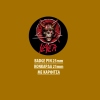 SLAYER BADGE PIN - SLAYER BADGE PIN 02