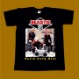 BEASTIE BOYS T-SHIRT - SOLID GOLD HITS