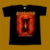 BLIND GUARDIAN T-SHIRT - BEYOND THE RED MIRROR