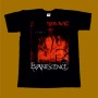 EVANESCENCE T-SHIRT - ORIGIN