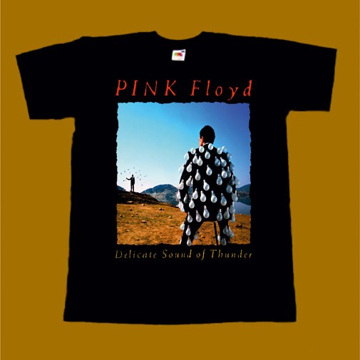 PINK FLOYD T-SHIRT - DELICATE SOUND OF THUNDER