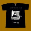 ALICE IN CHAINS T-SHIRT - RAINIER FOG